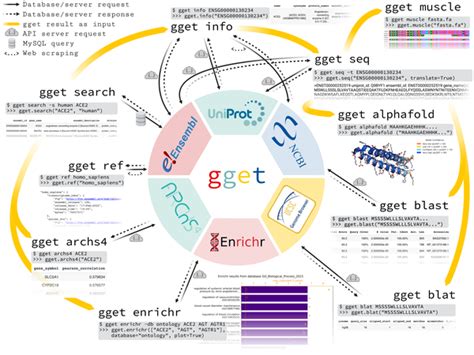 6gbetsixt,ggbet.com